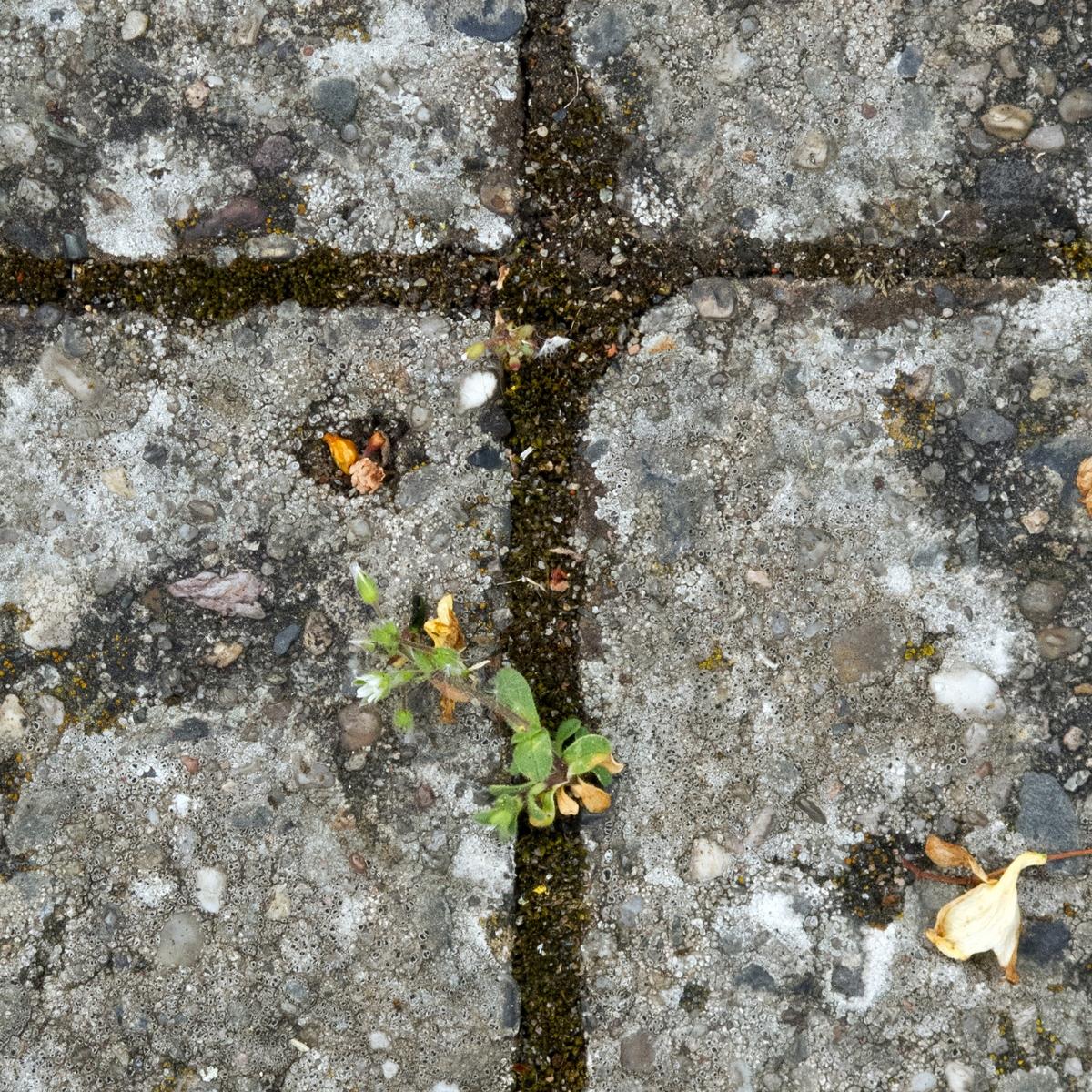 Was ist die Fastenzeit?