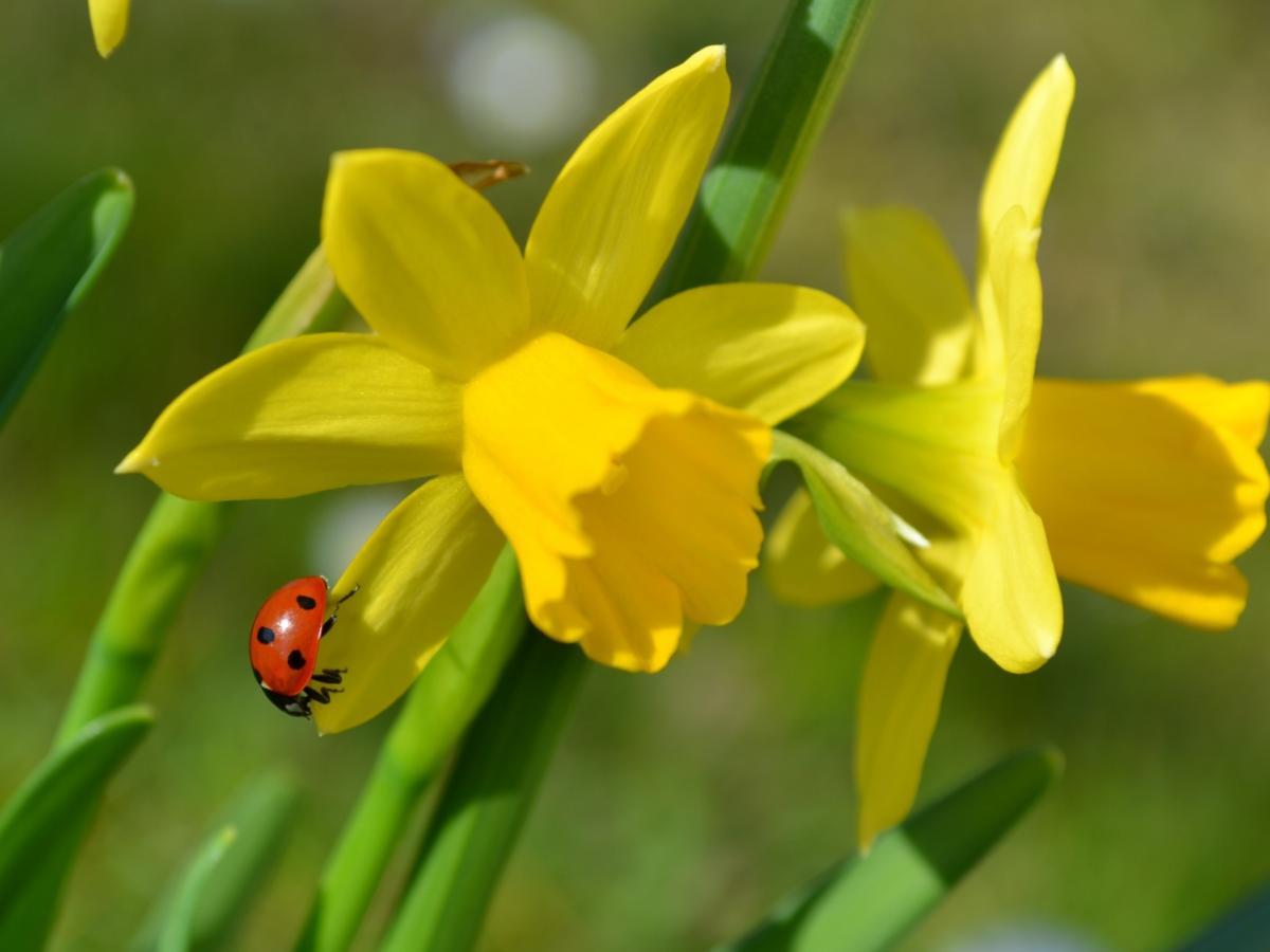 Kar- und Ostertage 2026