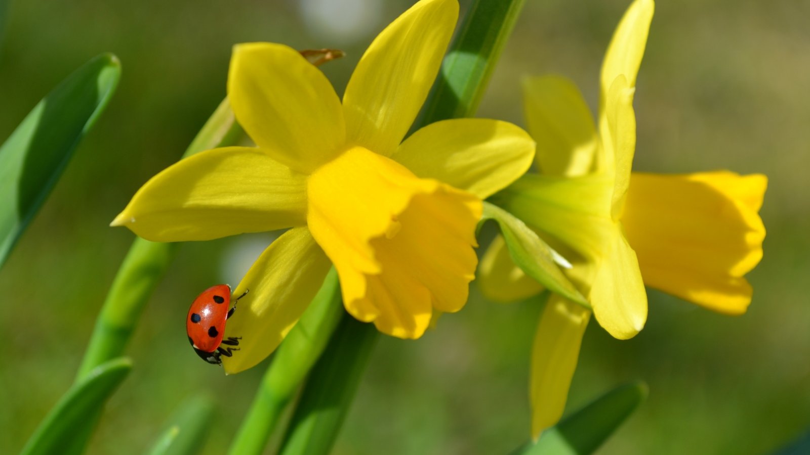 Kartage und Ostern 2026